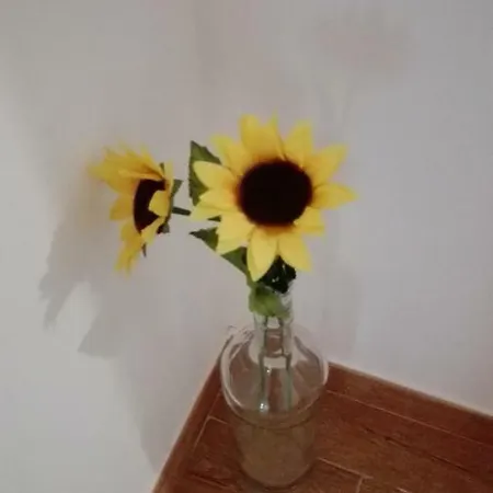 Βίλα Pretty *
